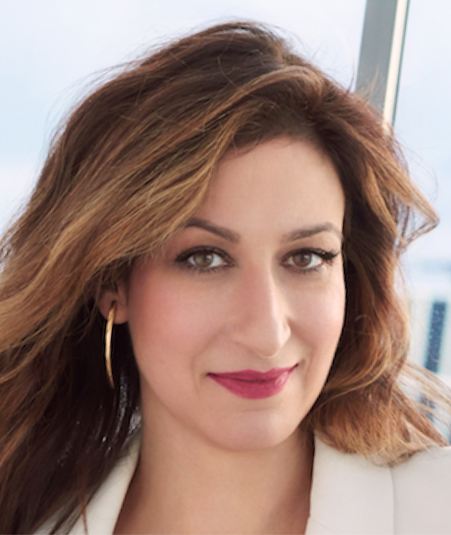 Ann Shoket - Lucinda Literary: Authors Representatives and