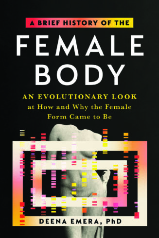 A Brief History of the Female Body